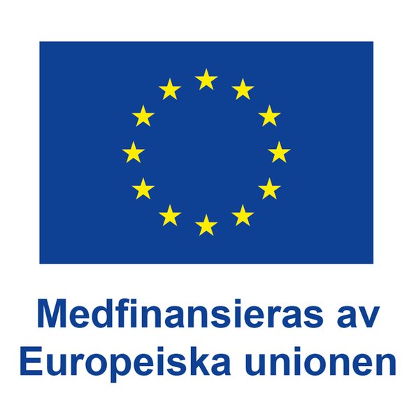 EU-flaggan 