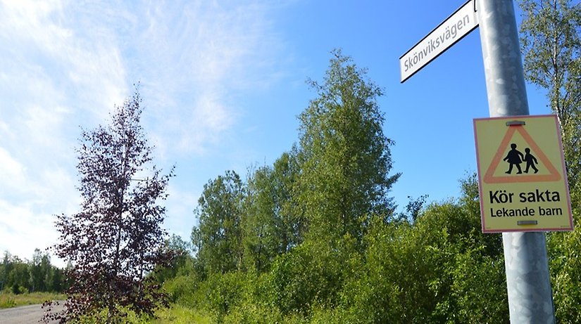 Kommunen har köpt markområdet Skönvik. Foto: privat 