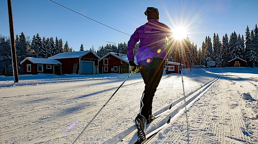 Kvinna åker längdskidor i solkenet