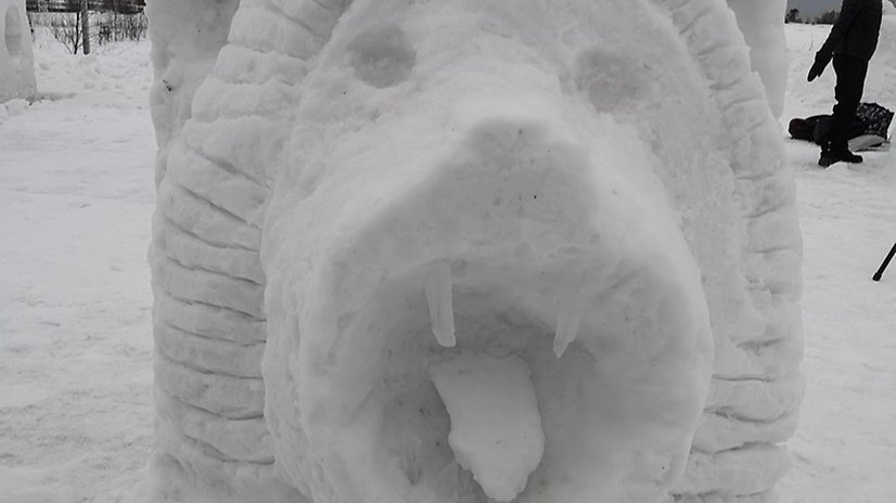 Lejonet från norden i snö. Foto: Haparanda stad 
