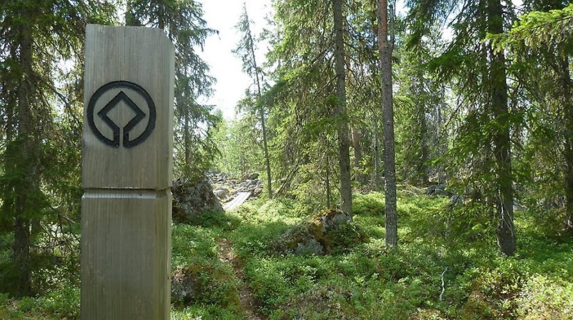 Spångad vandringsled i skogen. I förgrunden syns en märkning. I bakgrunden syns en skogsbeklädd höjd.